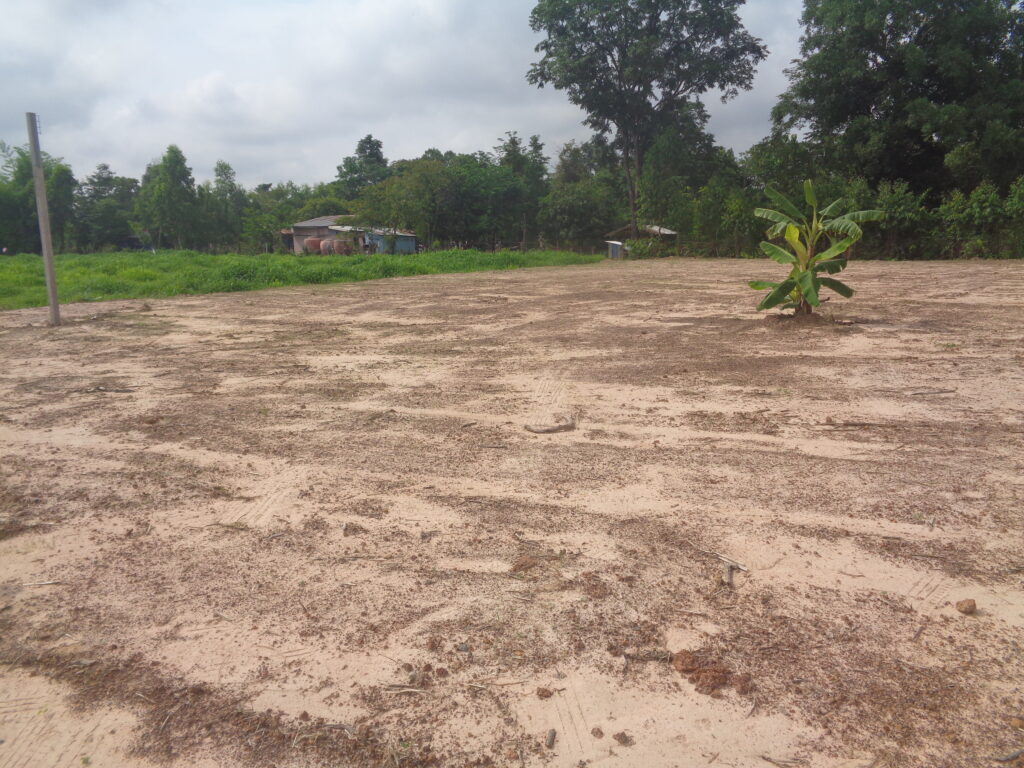 UdonThani house plots for sale or Rent lease in UdonThani. Living in UdonThani on a low budget. Affordable land in UdonThani for sale