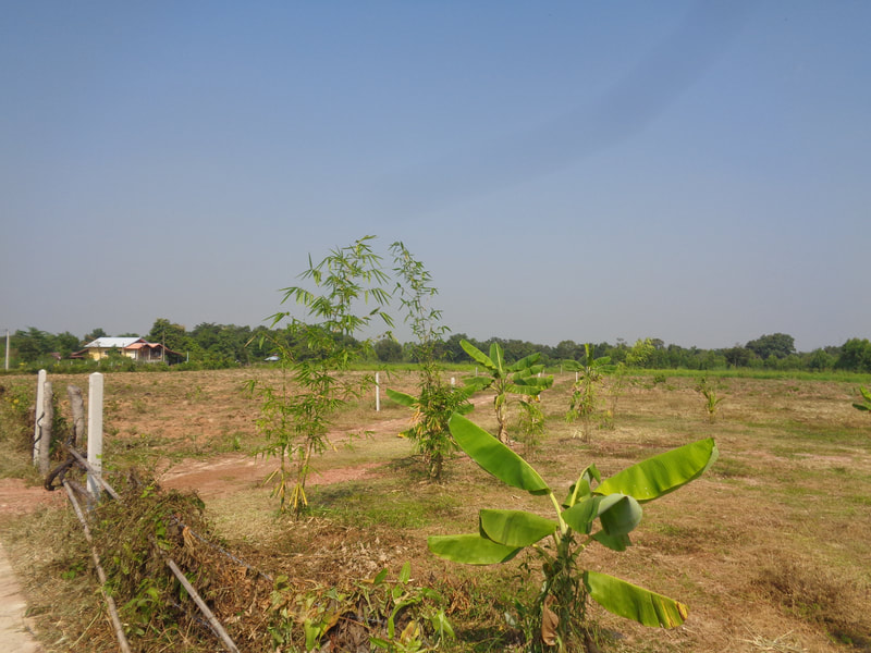 UdonThani land direct for the owners at less than market value, We offer land direct to the public no commission or high fees to sell or buy