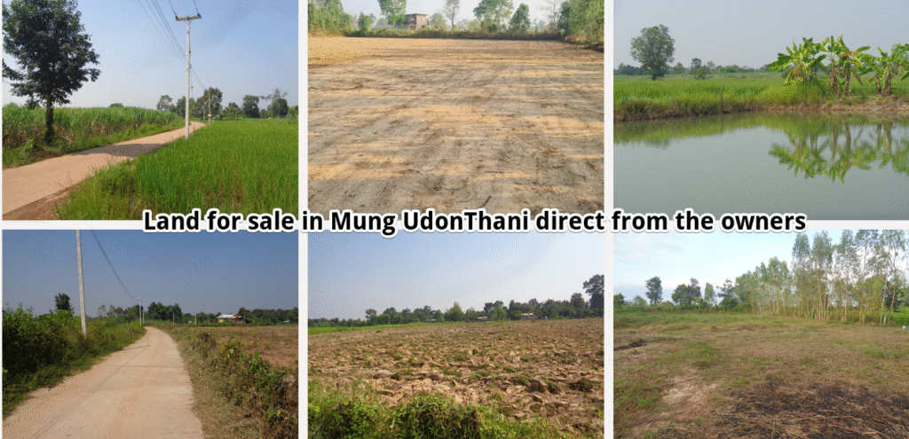 UdonThani land Ready to build on no flooding Owner financing Affordable UdonThani land for sale from owners