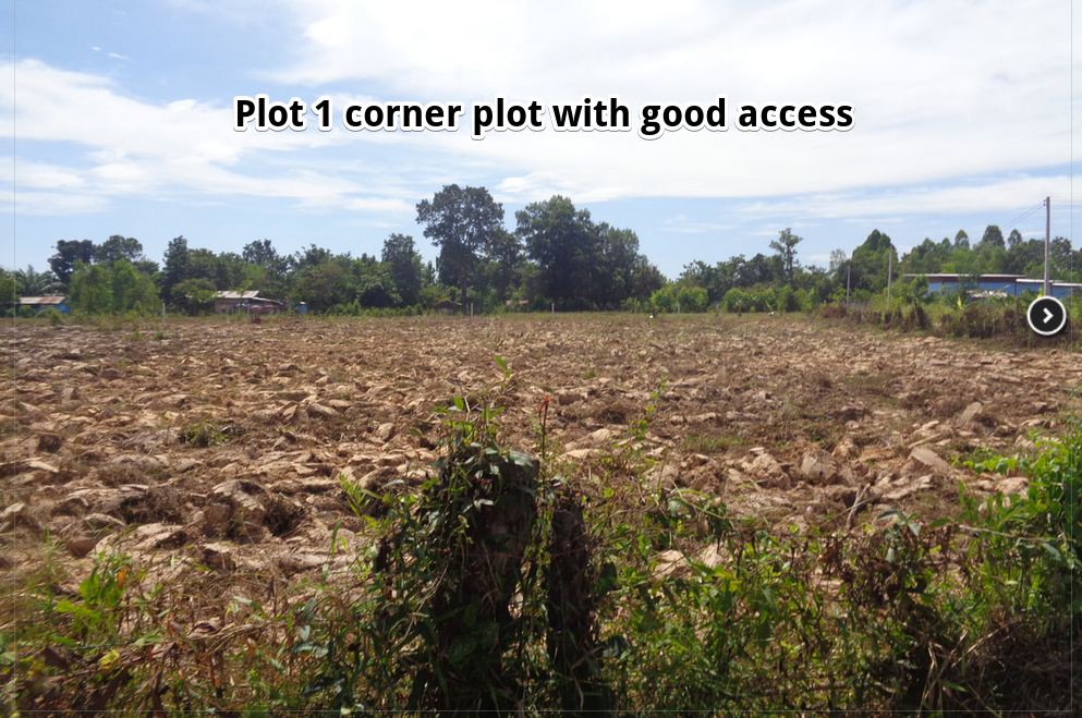 UdonThani land for sale from Owners direct UdonThani land for sale from the owners