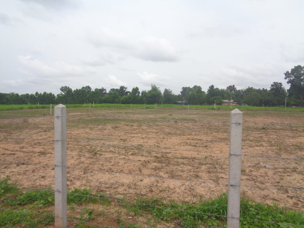 We add new roads And infill part of the plot